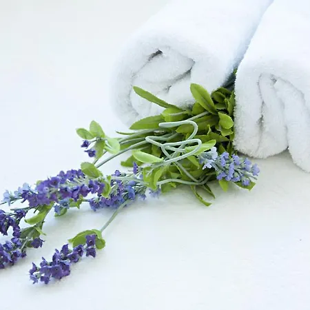 公寓 Smart 斯普利特