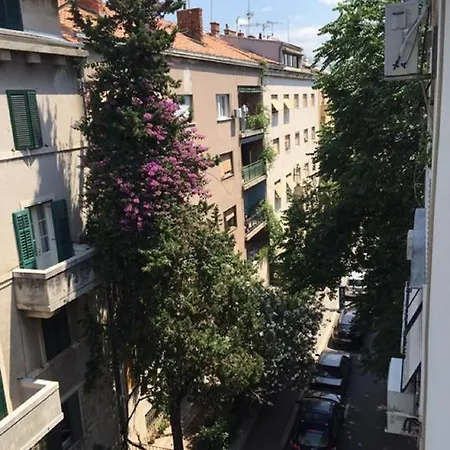 Smart * 斯普利特